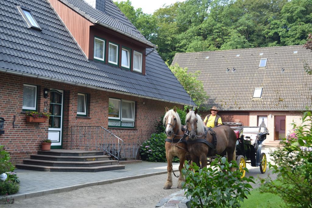 Apartment Hillmer Bispingen Bagian luar foto